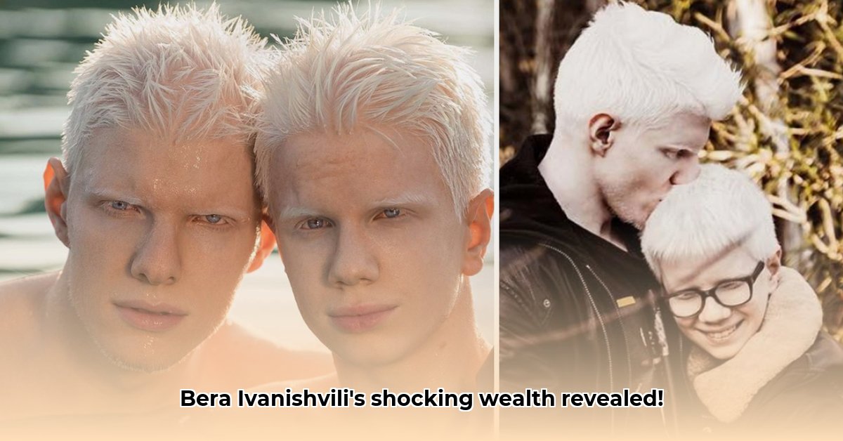 bera-ivanishvili-net-worth